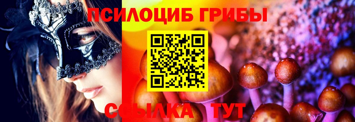 Псилоцибиновые грибы GOLDEN TEACHER  Вход с VPN  Шебекино  Псилоцибиновые грибы Cubensis 